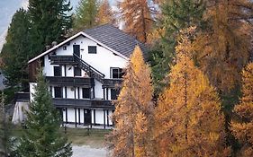 Angolo del Bosco